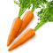 Carrots