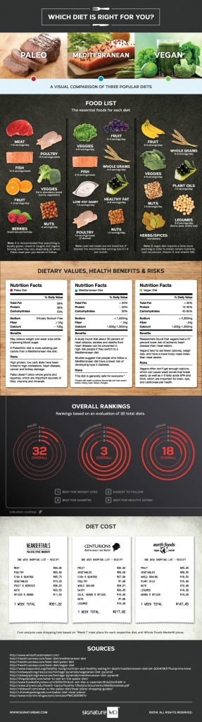 Paleo vs Mediterranean vs Vegan – Which diet is best?