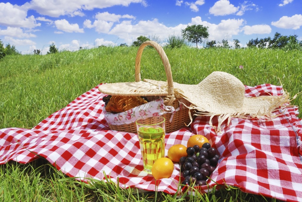 The Perfect Summer Picnic