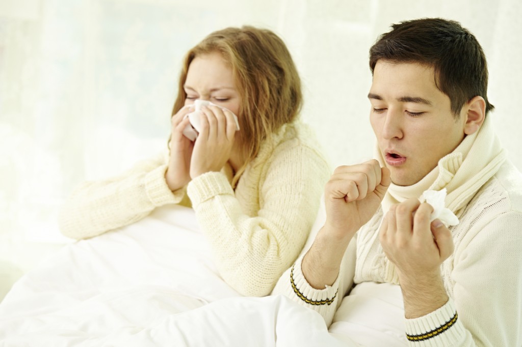 Flu Facts and Fictions!