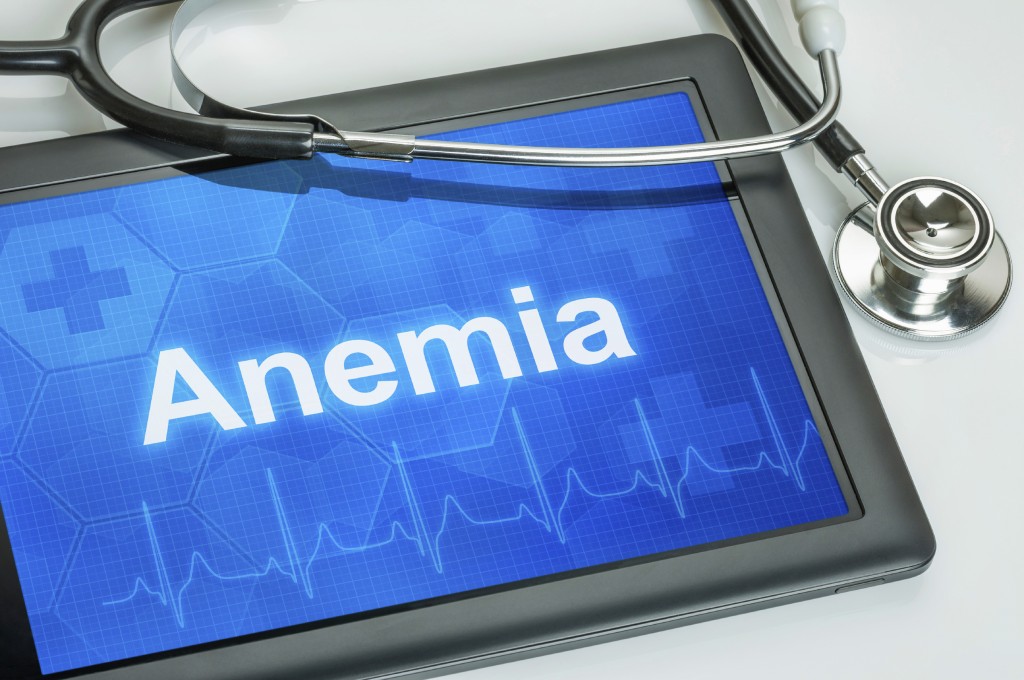 Accidental Discovery Leads To Possible Cure For Anemia