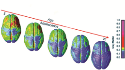 age vs adolescence graphic